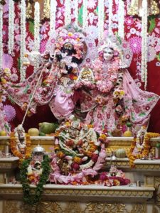 Translation & RTL Ready